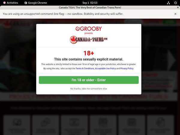 Account Premium Tgirlcanada