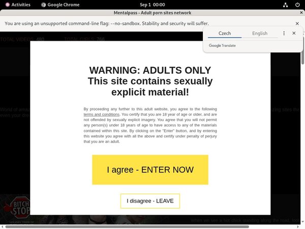 Active Mental Pass Passwords Active Mental Pass Passwords