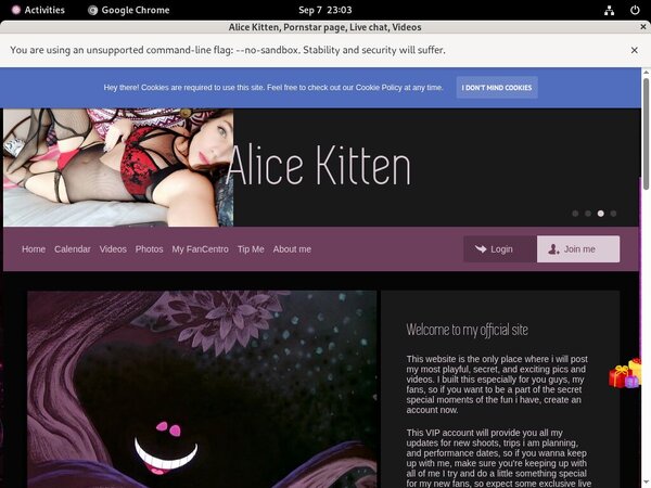 AliceKitten Using Paypal