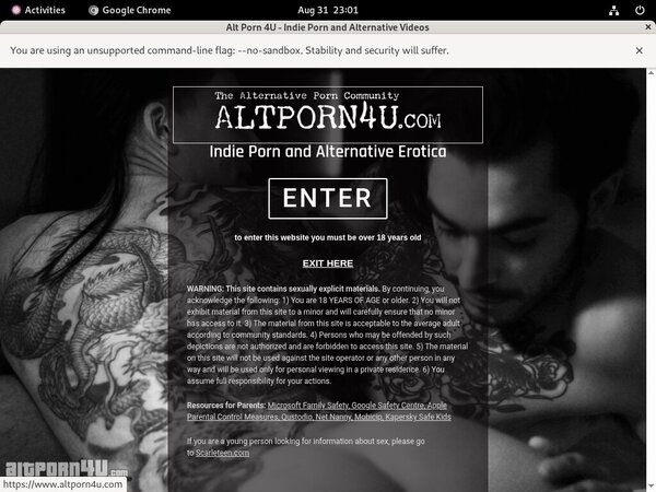 Alt Porn 4 U Accs