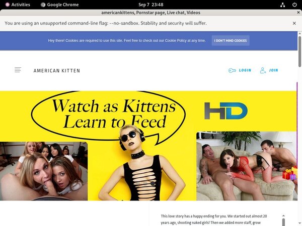Americankittens Websites