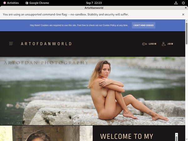 Artofdan Trial Discount Artofdan Trial Discount