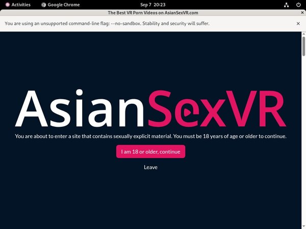 Asian VR Sex Acc Premium