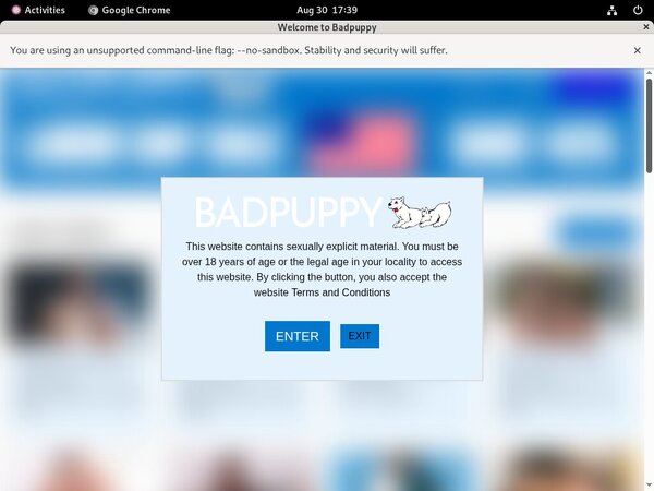 Bad Puppy Adult Passwords