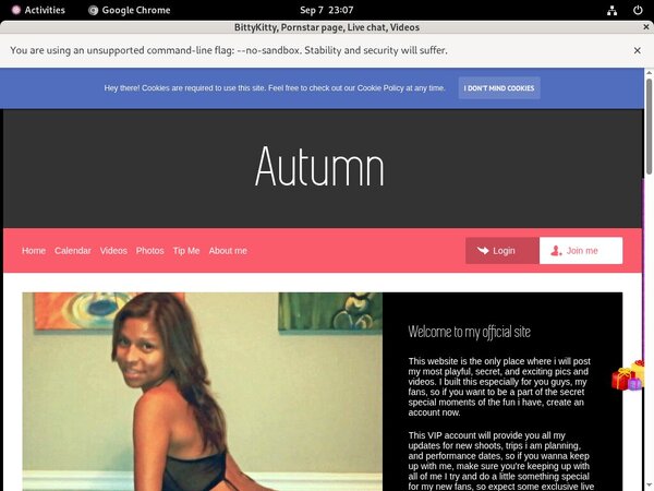BittyKitty Gratuito BittyKitty Gratuito