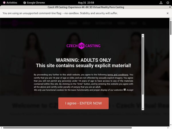 Casting VR Czech Site Rip Casting VR Czech Site Rip