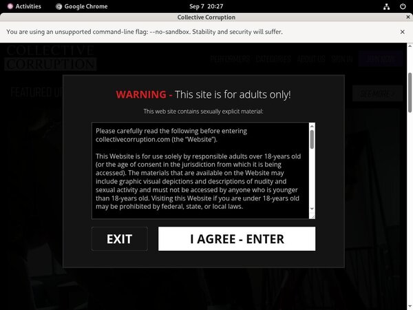 Collective Corruption Free Access