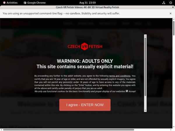 Czechvrfetish.com Using Discount
