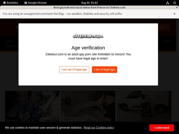 Free Access To Citebeur