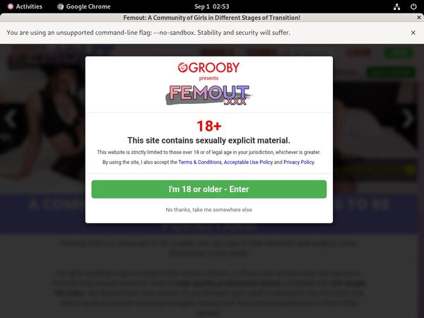 Free Passwords Femout