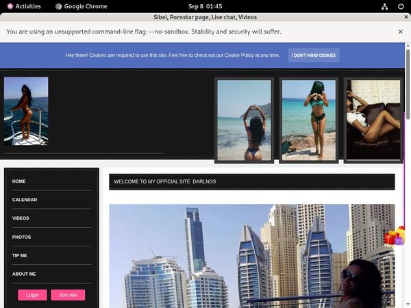 Free Trial Sibel Login Free Trial Sibel Login