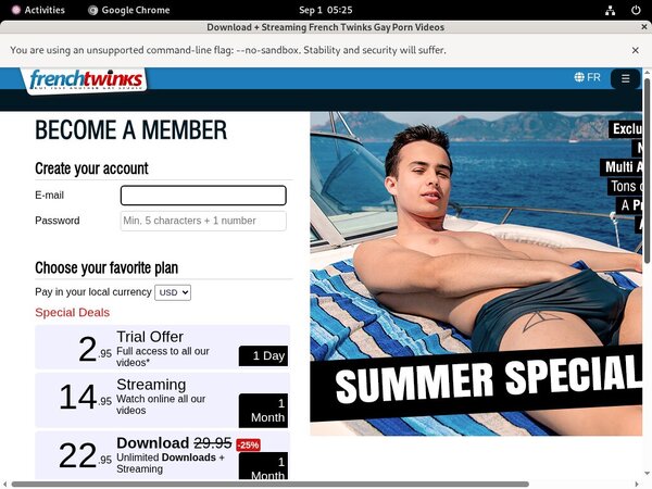 French-twinks.com Renew