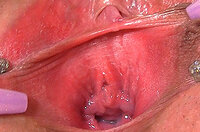 Gape My Pussy Discount 70% Off s0 Gape My Pussy Discount 70% Off s0