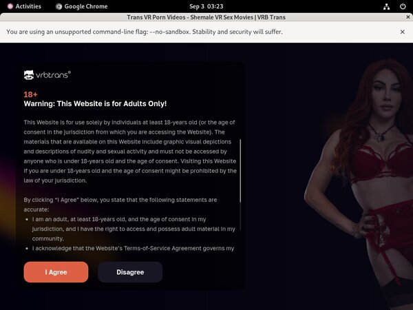 Get Into Vrbtrans.com