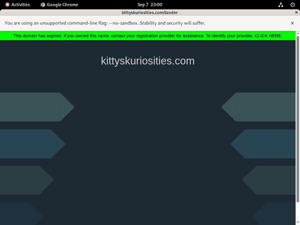 Kitty's Kuriosities Video Download