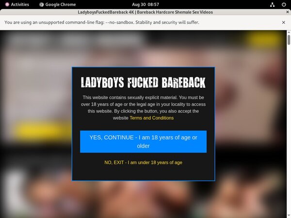 Ladyboysfuckedbareback.com Member Review Ladyboysfuckedbareback.com Member Review