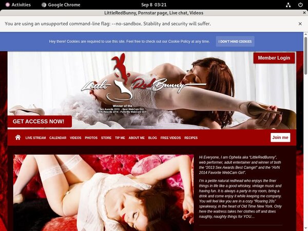 Redtube LittleRedBunny Redtube LittleRedBunny