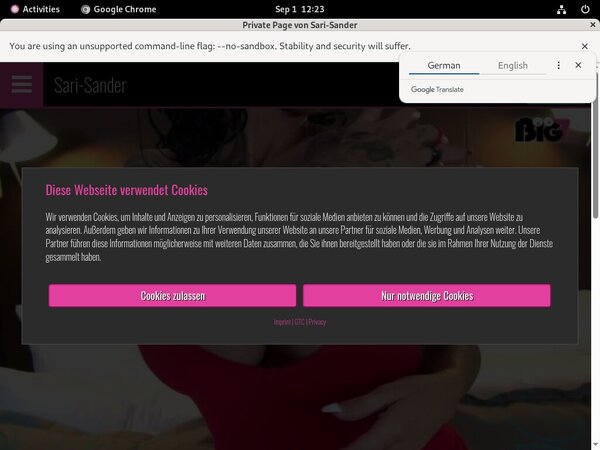 Sari Sander Discount Urls