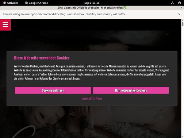 Sina-valentini.de Newest