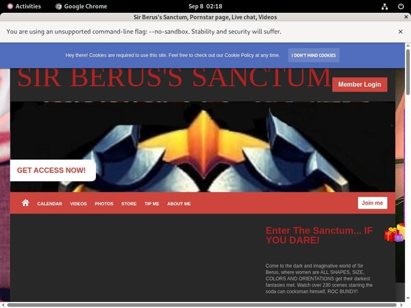 Sir Berus's Sanctum Tokens