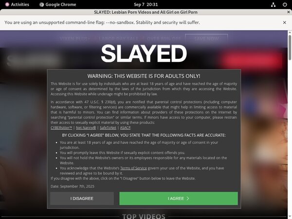 Slayed Logins