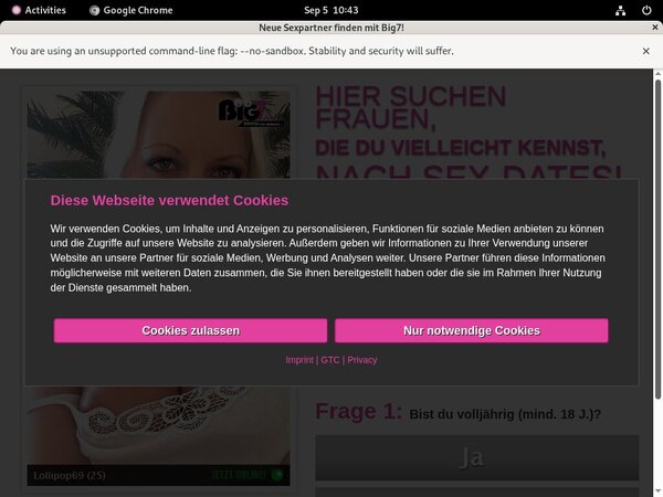 Your Secret Dream With IBAN / BIC