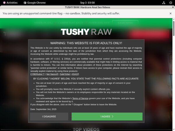 Tushyraw Paypal Epoch Tushyraw Paypal Epoch