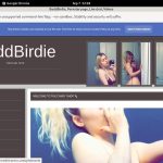 BaddBirdie Free Login BaddBirdie Free Login